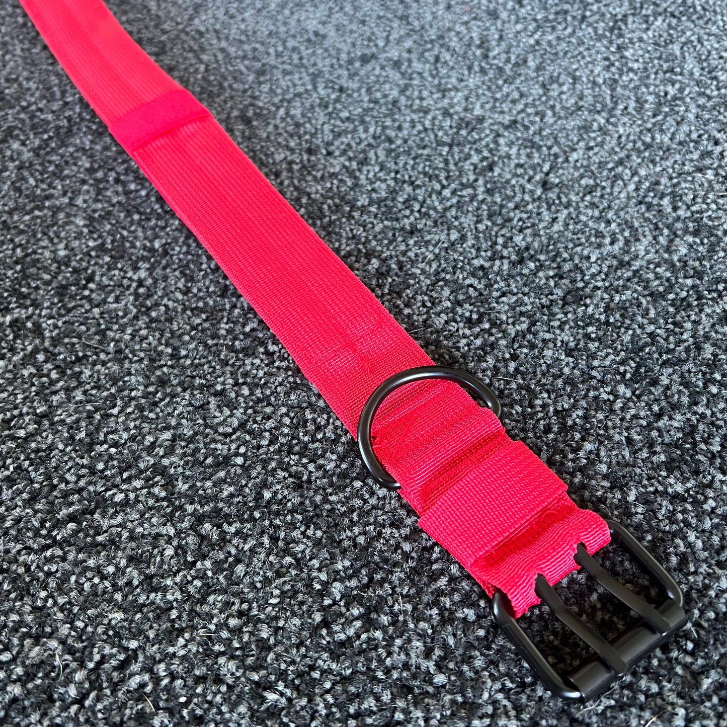 Rose Red Tactical Collar 54-62cm