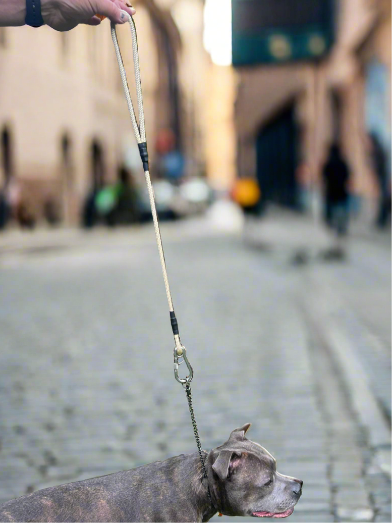 700mm STRONG Leash with locking Carabiner, Shortbread