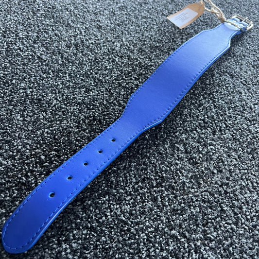 Durable Microfibre Leather Collar 5cm Blue