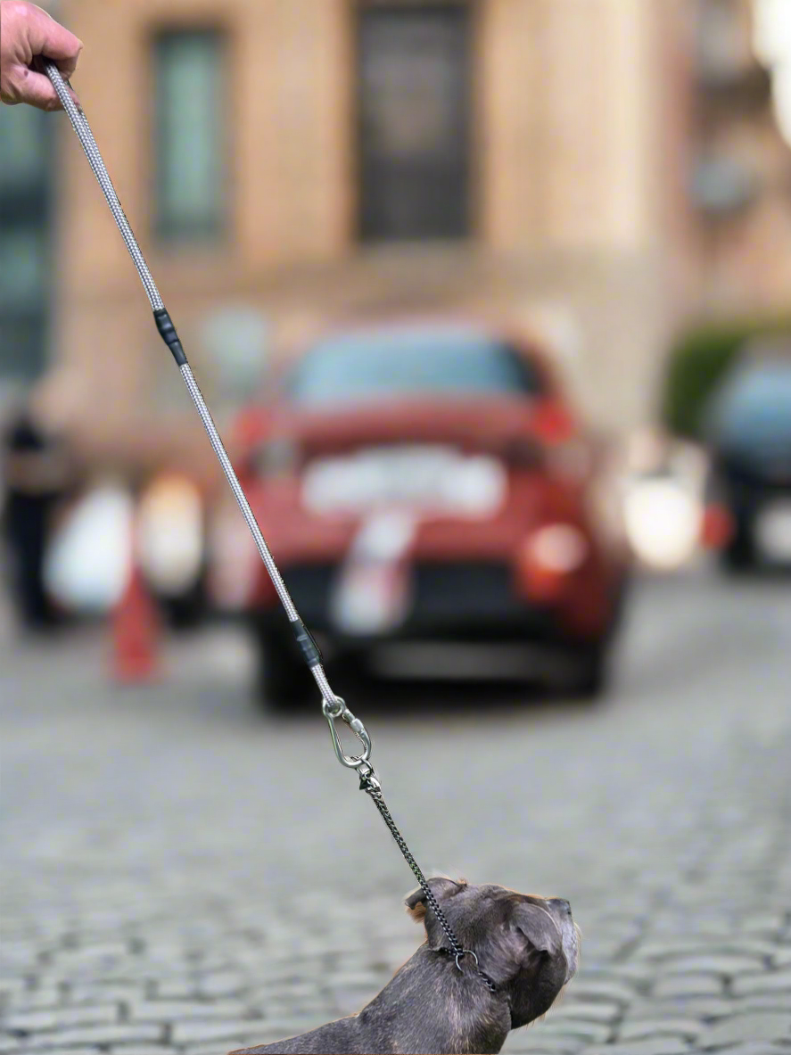 700mm STRONG Leash with locking Carabiner, Graphite