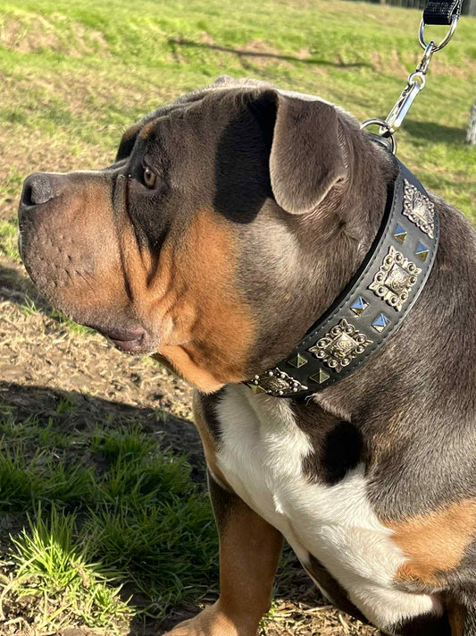 Black & Silver Collar set 37-45cm