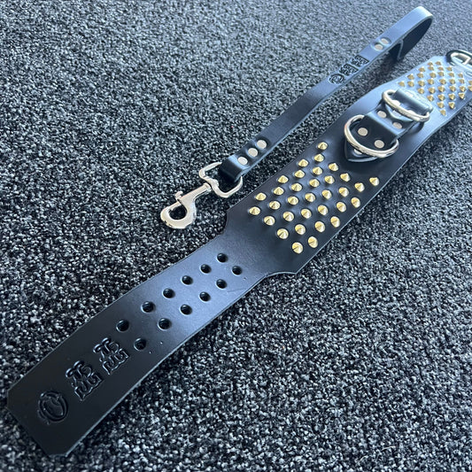Black leather strap with gold studs and silver hardware on a textured black background