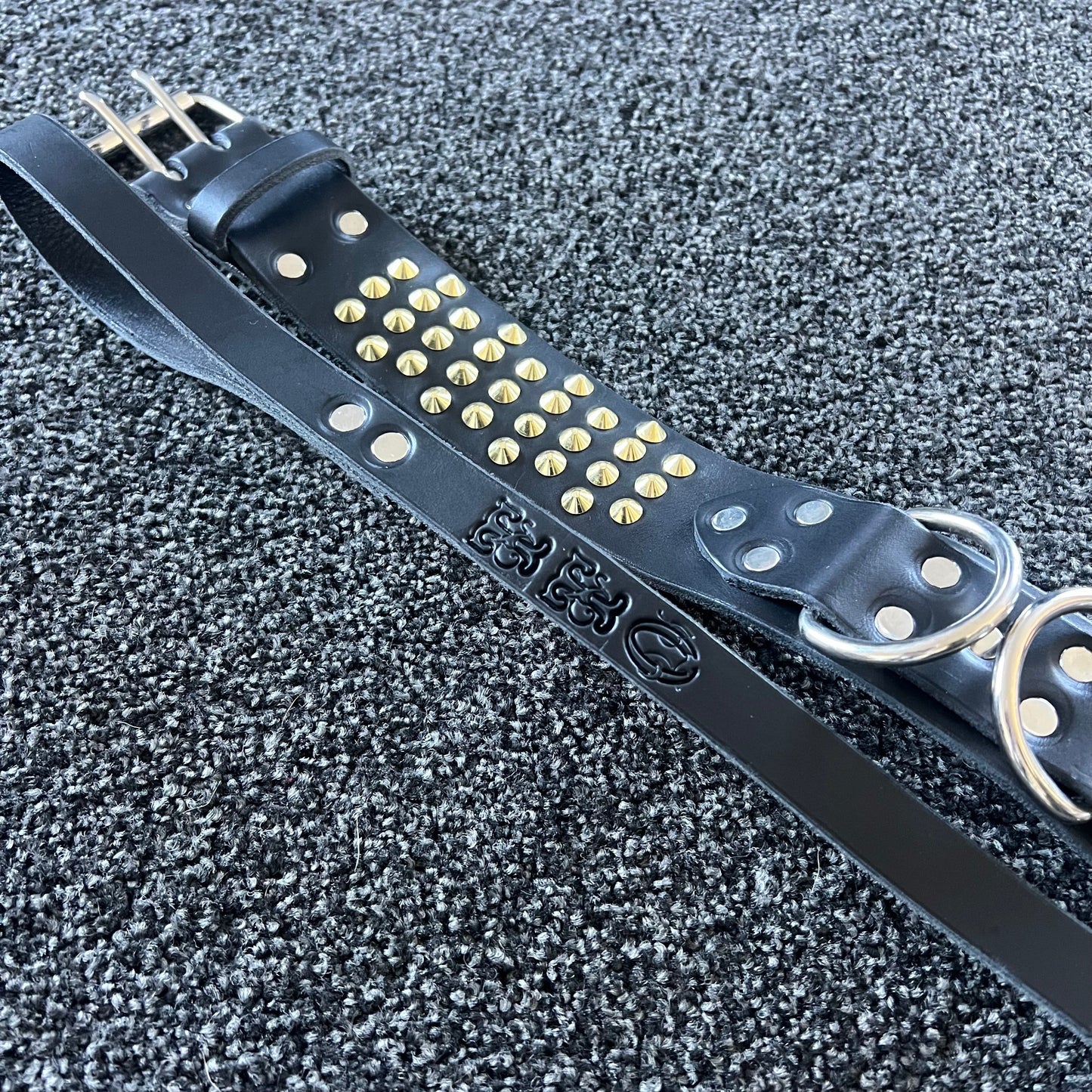 Black leather dog collar with gold studs on a textured gray background