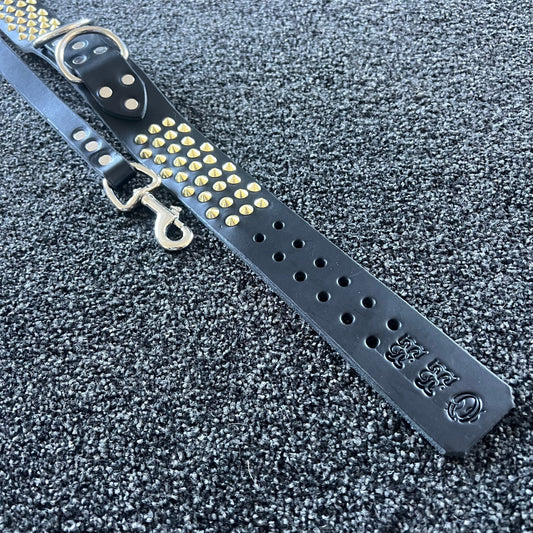 Black leather dog collar with gold studs on a textured black background