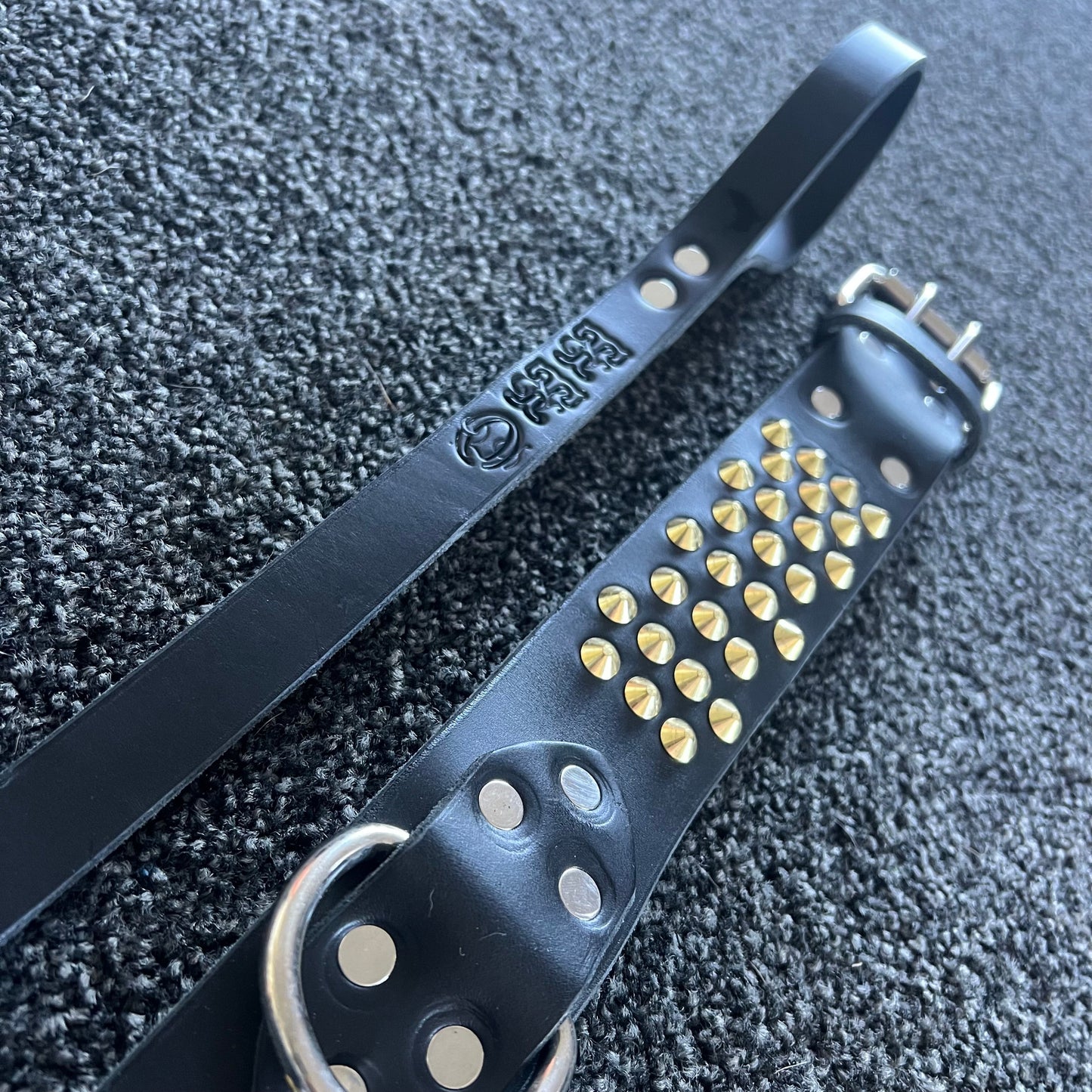 Black leather dog collar with gold studs on a textured gray surface
