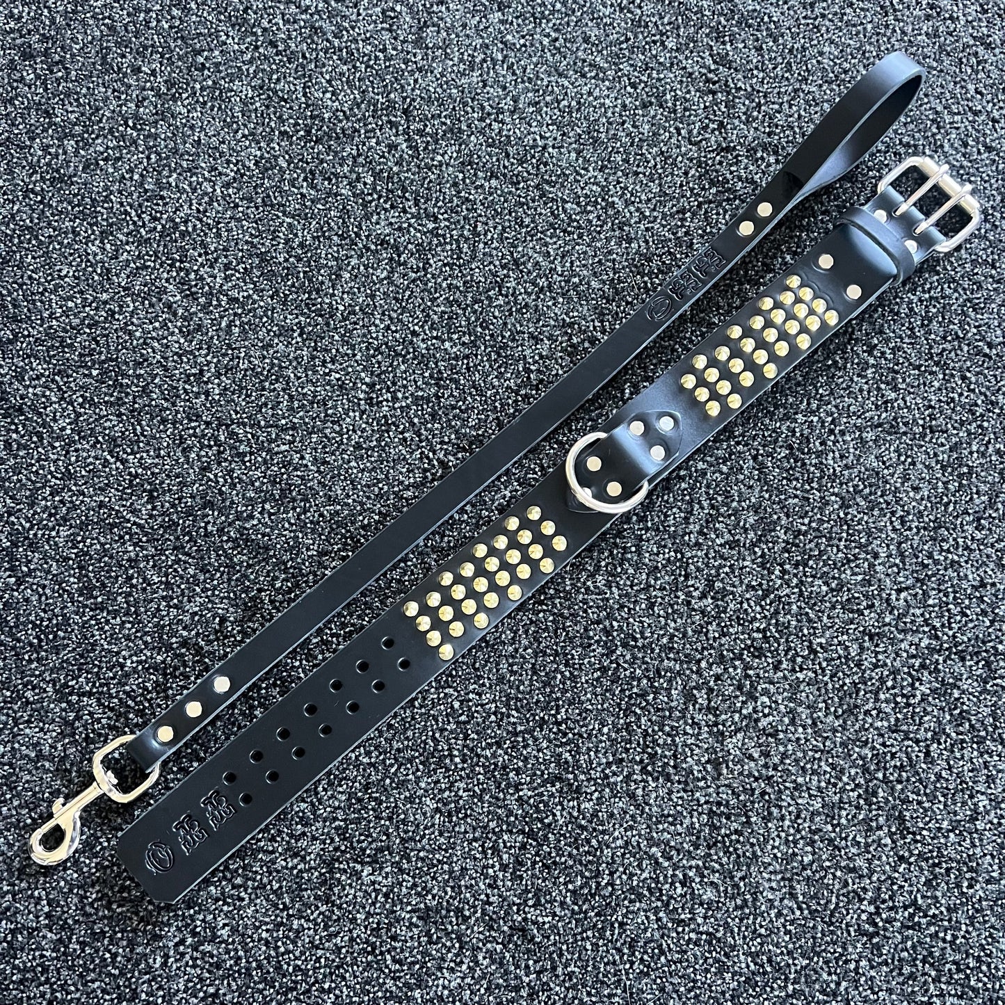 Black leather dog collar with gold studs on a textured black background
