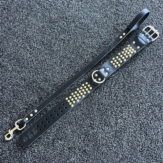 Black leather dog collar with gold studs on a textured black background