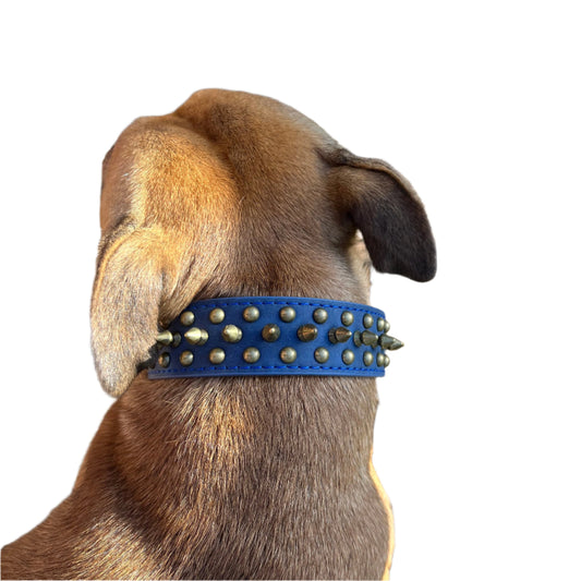 Dark Blue Leather Collar with Turquoise Inlay – Heavy Duty Dog Collar