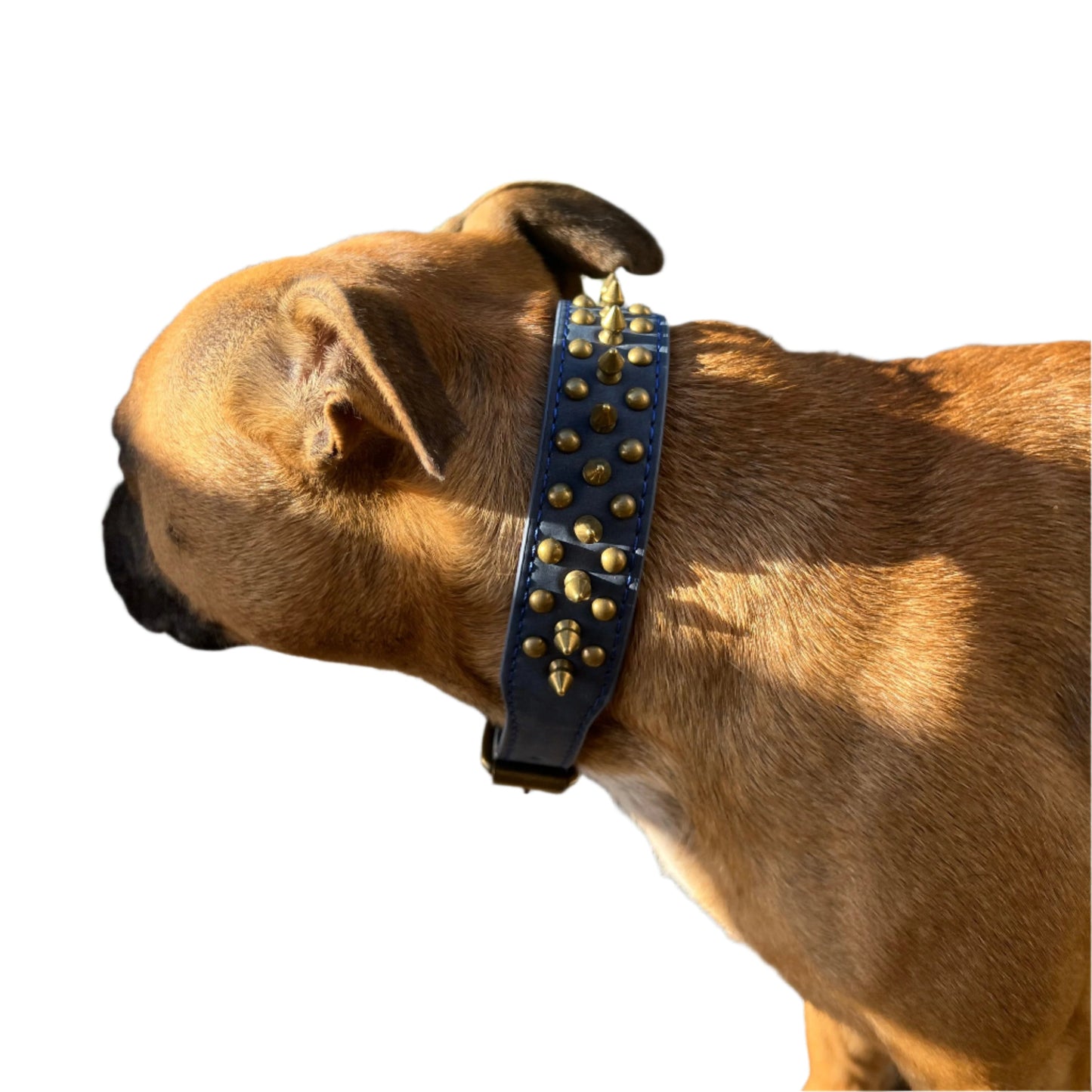 Large Dog Breeds, Leather Collar, Mastiff, Rottweiler, German Shepherd Leather Collar