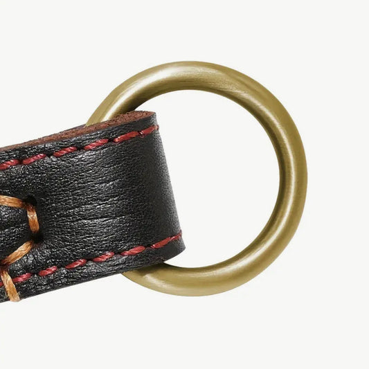 Brown/Gold Leather Slip Collar