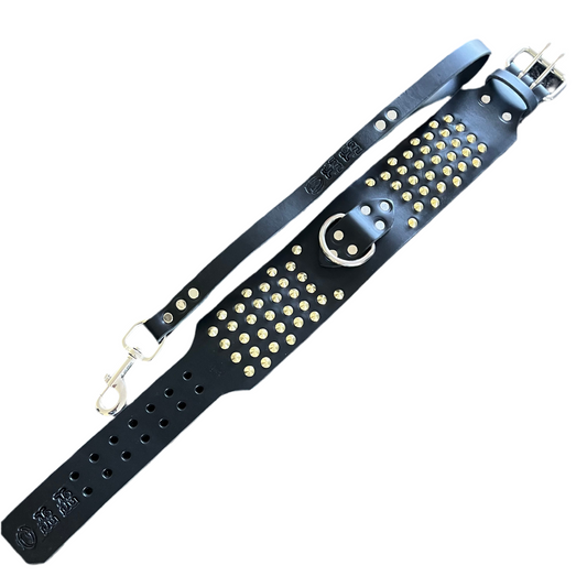NZ Made Italian Leather Studded Collar Set – 80mm | Single D Ring