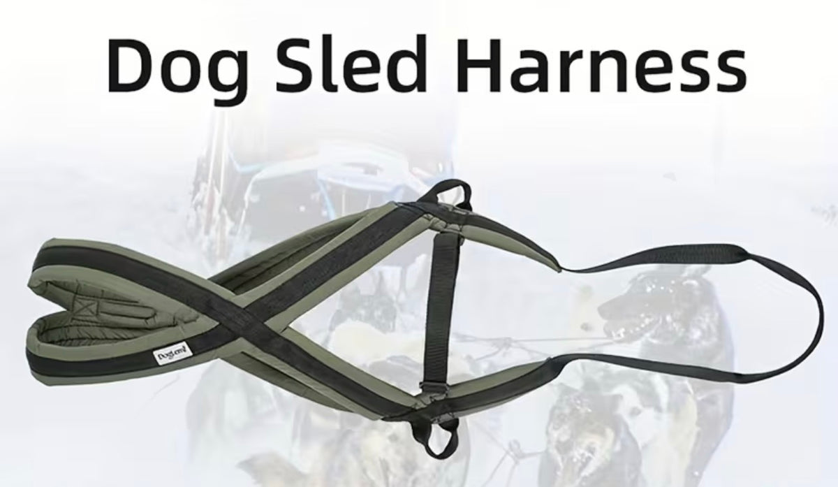 The Tough Ones™ Weight Pull & Sled Harness XXL