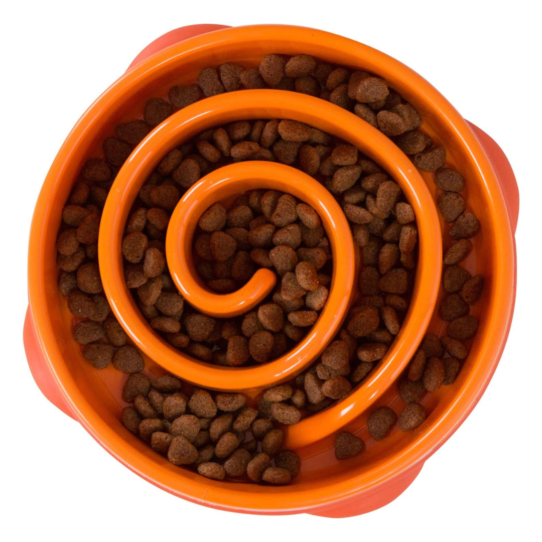 Slow Feeder Dog Bowl