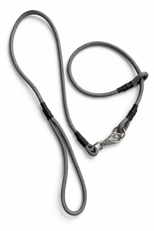 STRONG Graphite Slip Collar & Leash Set