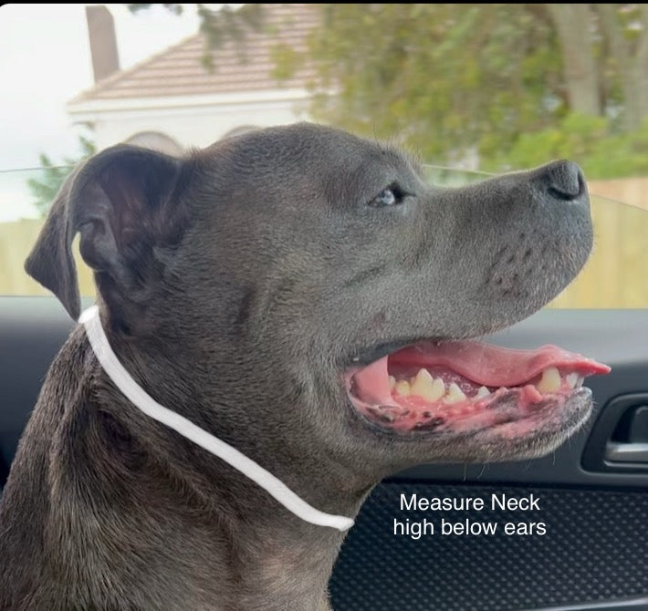 Rose Gold Snake Chain