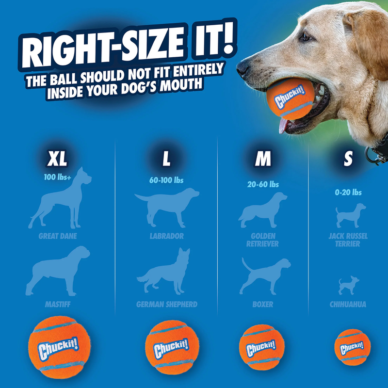 Chuckit! Tennis Ball Lge - 1pk