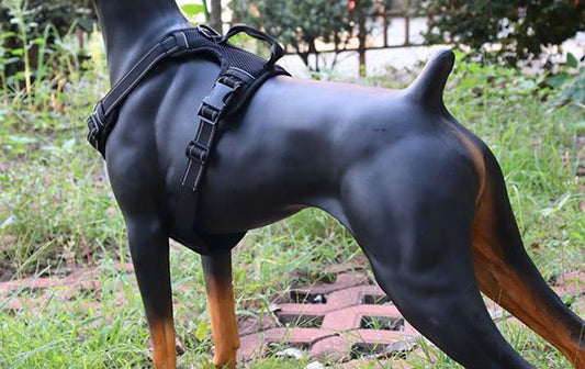 M-BLACK Dog Harness Set Pet Adjustable Chest Strap Walking Collar Vest