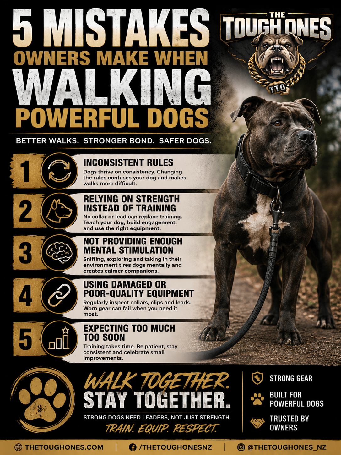 5 Common Walking Mistakes Owners Make With Powerful Dogs