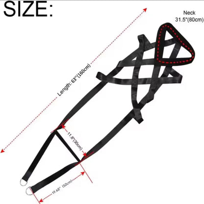 Weight Training Harness (entry level)