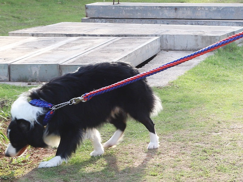 Strong Dog Leash Climbing Rope Threaded Pet Training