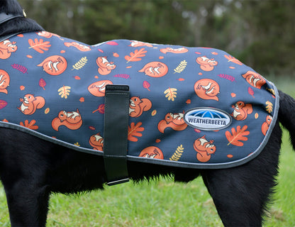 WeatherBeeta ComFiTec Premier Free Parka Dog Coat Medium
