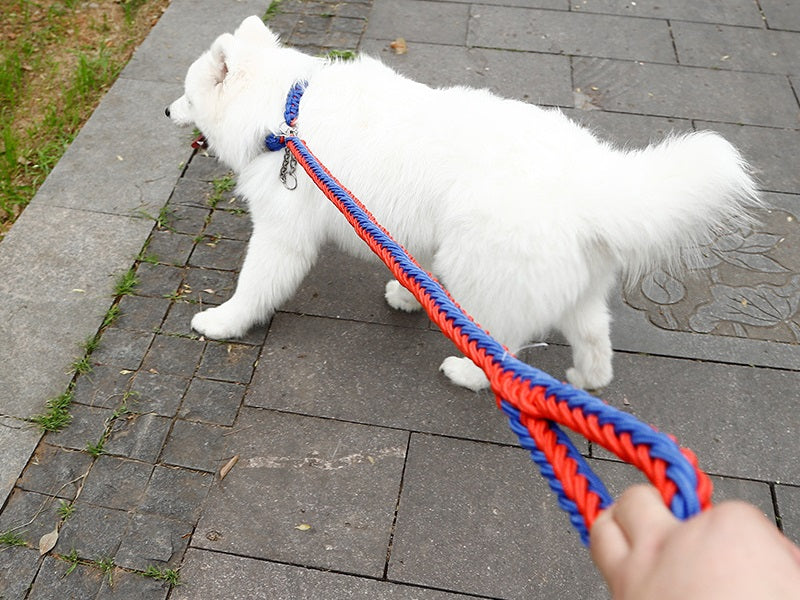 Strong Dog Leash Climbing Rope Threaded Pet Training