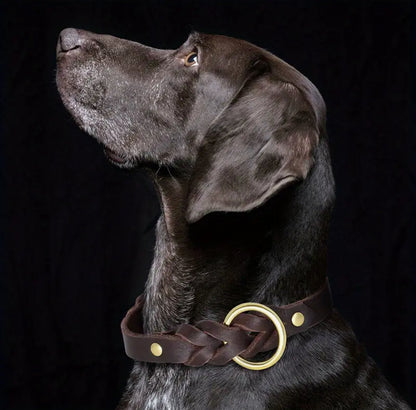 Cowhide Collar (Brown & Gold)
