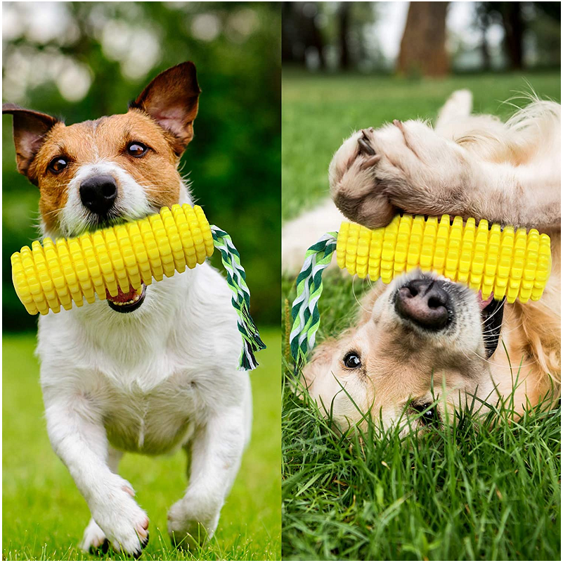 Dog Bite Squeaky Toy