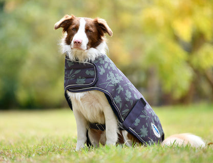 WeatherBeeta ComFiTec Premier Free Parka Dog Coat Medium