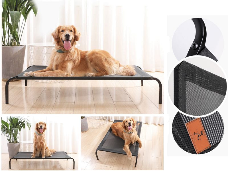 Pet Bed Mesh Elevated Raised