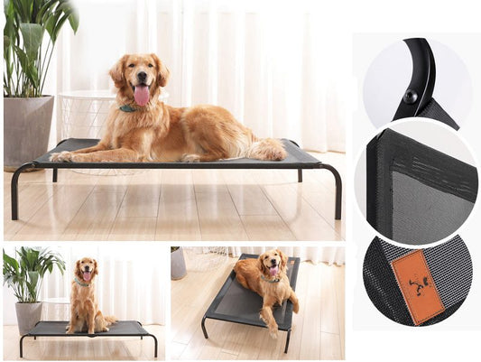 Pet Bed Mesh Elevated Raised