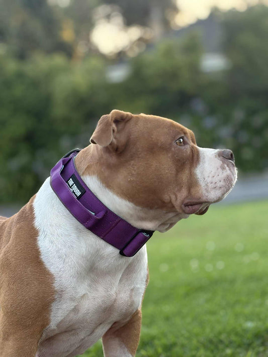 The Tough Ones™ Plum & Mint Tactical Dog Leash