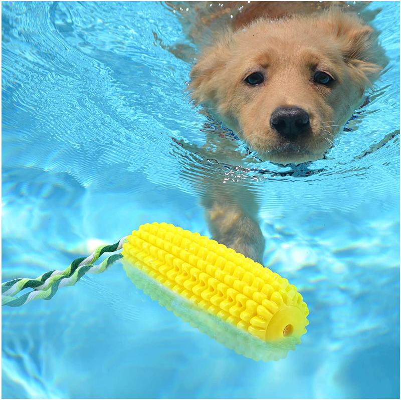 Dog Bite Squeaky Toy