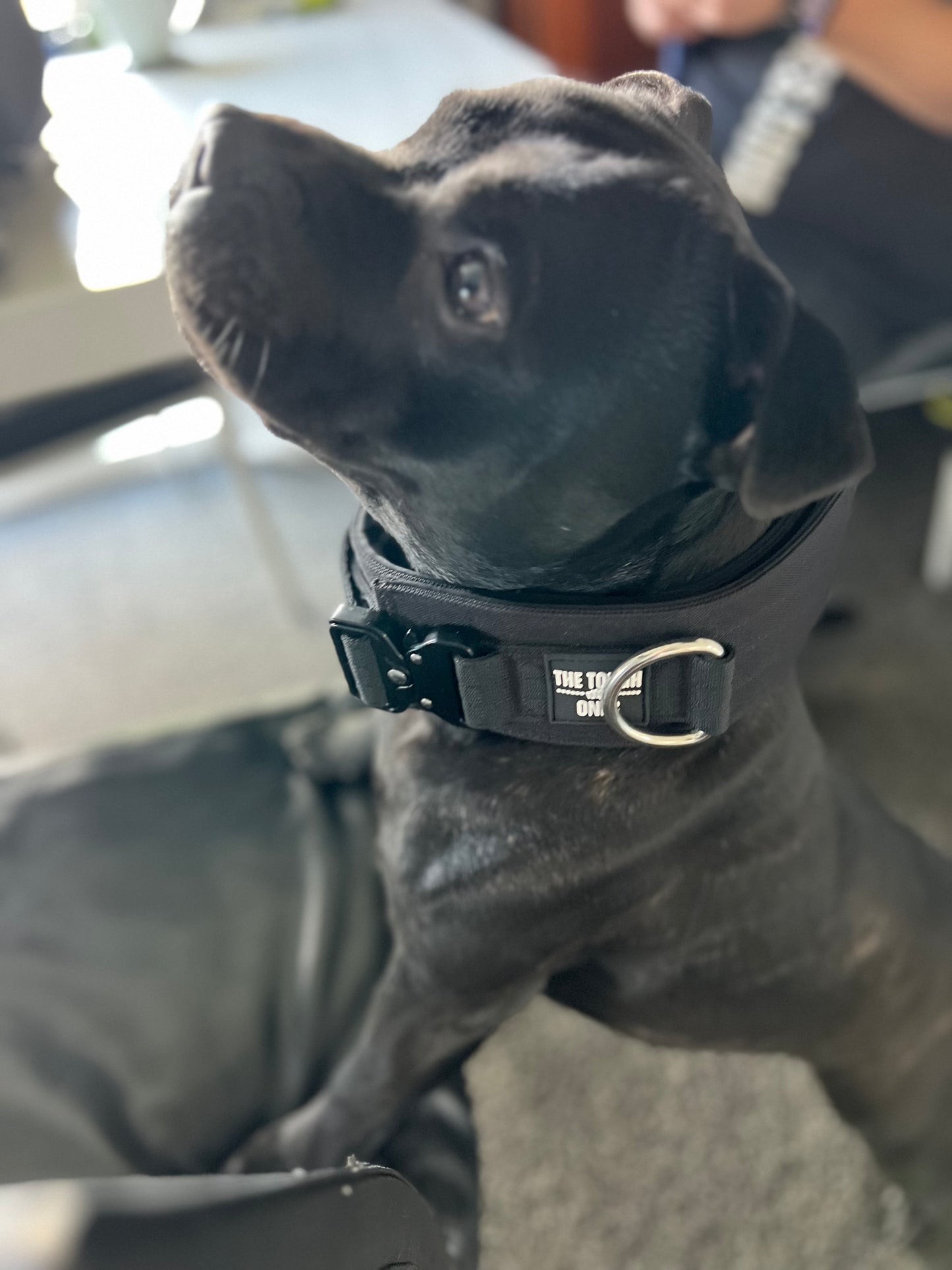 The Tough Ones 7cm Extra-Wide Padded Tactical Dog Collar – Black