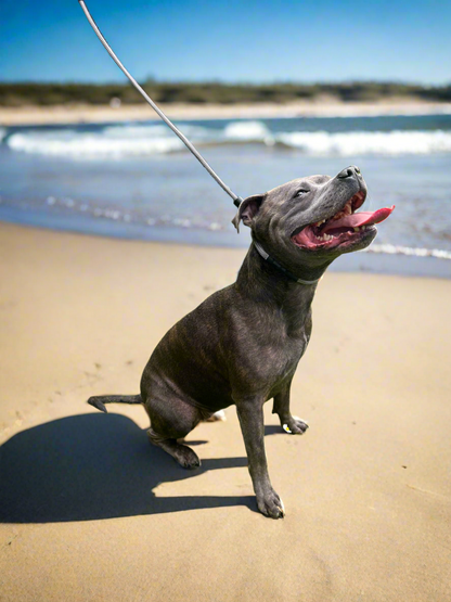 800mm STRONG Slip Leash, Graphite