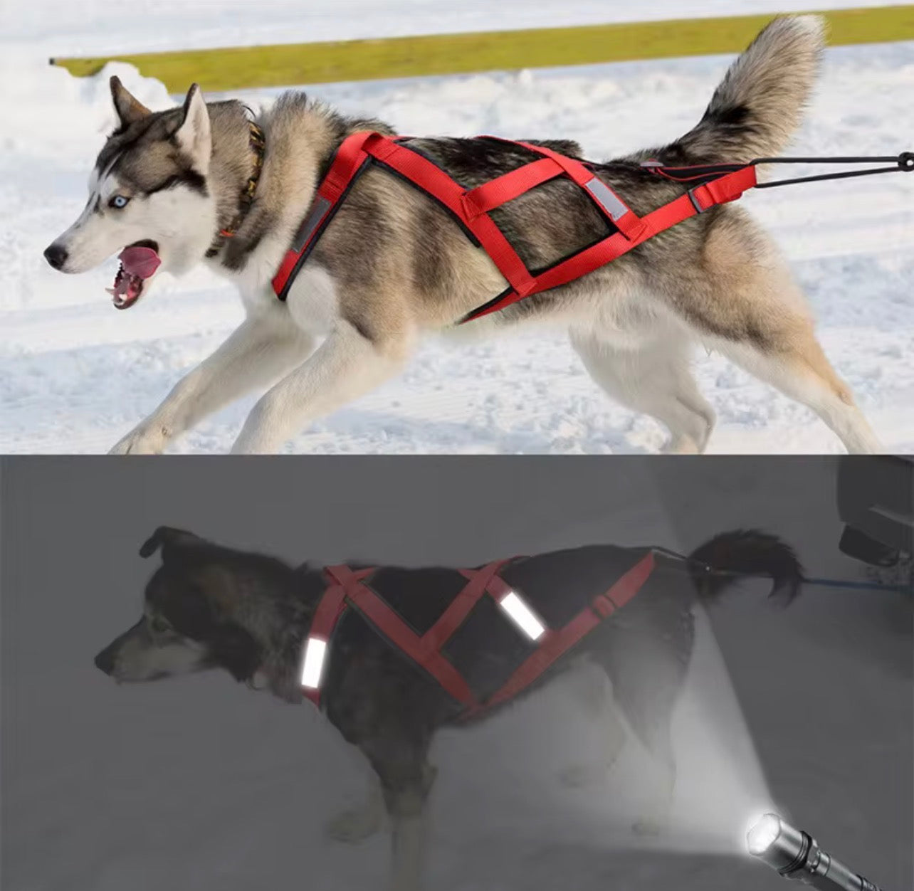 X-Back Weight Pull & Mushing Harness – Reflective Padded Performance Harness