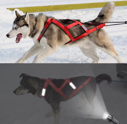 X-Back Weight Pull & Mushing Harness – Reflective Padded Performance Harness