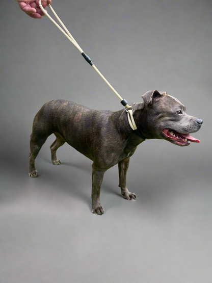 800mm STRONG Slip Leash, Shortbread