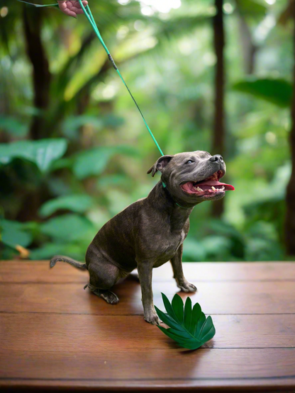 1.05m STRONG Slip Leash, Pine Green