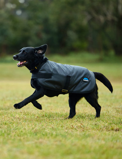 WeatherBeeta ComFiTec Classic Waterproof Dog Coat