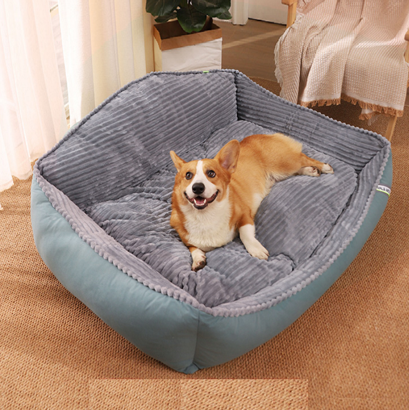 High Back Bolster Comfort Pet bed 3 Size Available