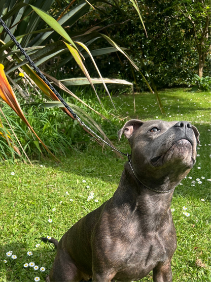 Braided Snake Leash 50cm Black on Black