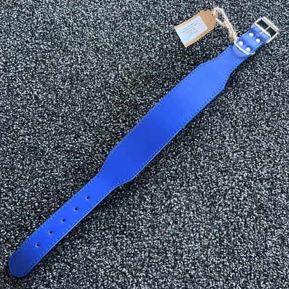 Durable Microfibre Leather Collar 5cm Blue