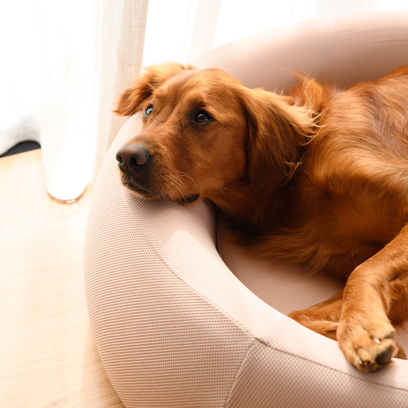 Brooklyn® Nest Dog Bed