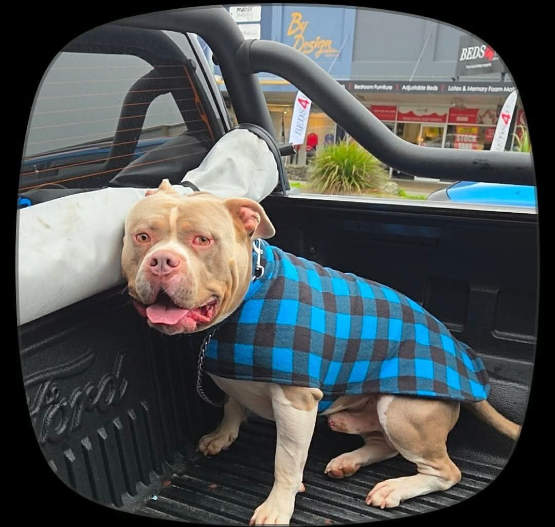 Blue Check Fleece Dog Coat – Heavy Winter Coat | The Tough Ones™