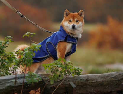 WeatherBeeta ComFiTec Premier Free Duo Deluxe Parka Dog Coat