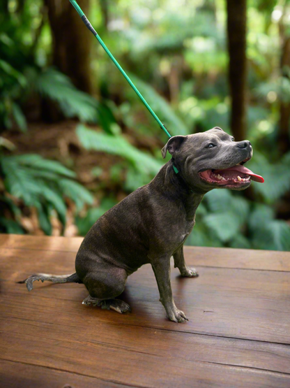 1.05m STRONG Slip Leash, Pine Green