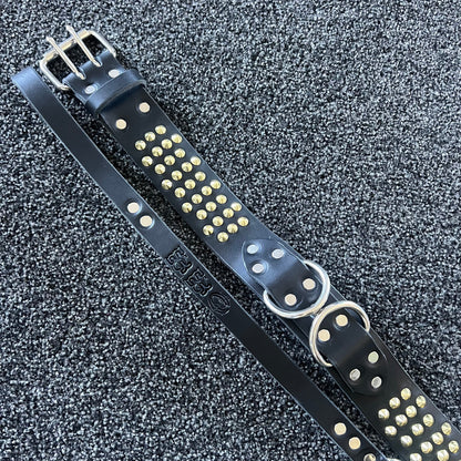 Black leather dog collar with gold studs on a textured black background