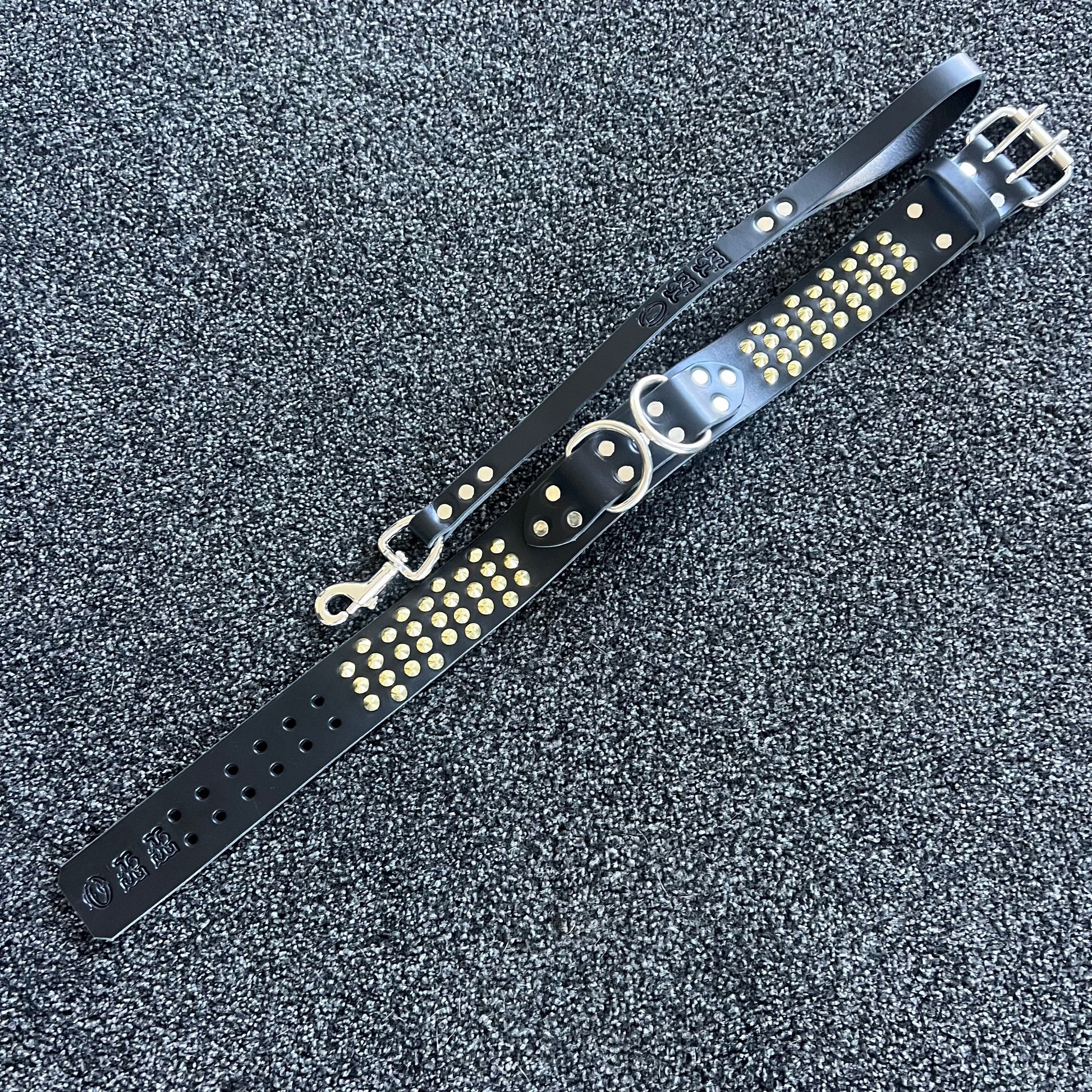 Black leather dog collar with gold studs and silver hardware on a textured gray background