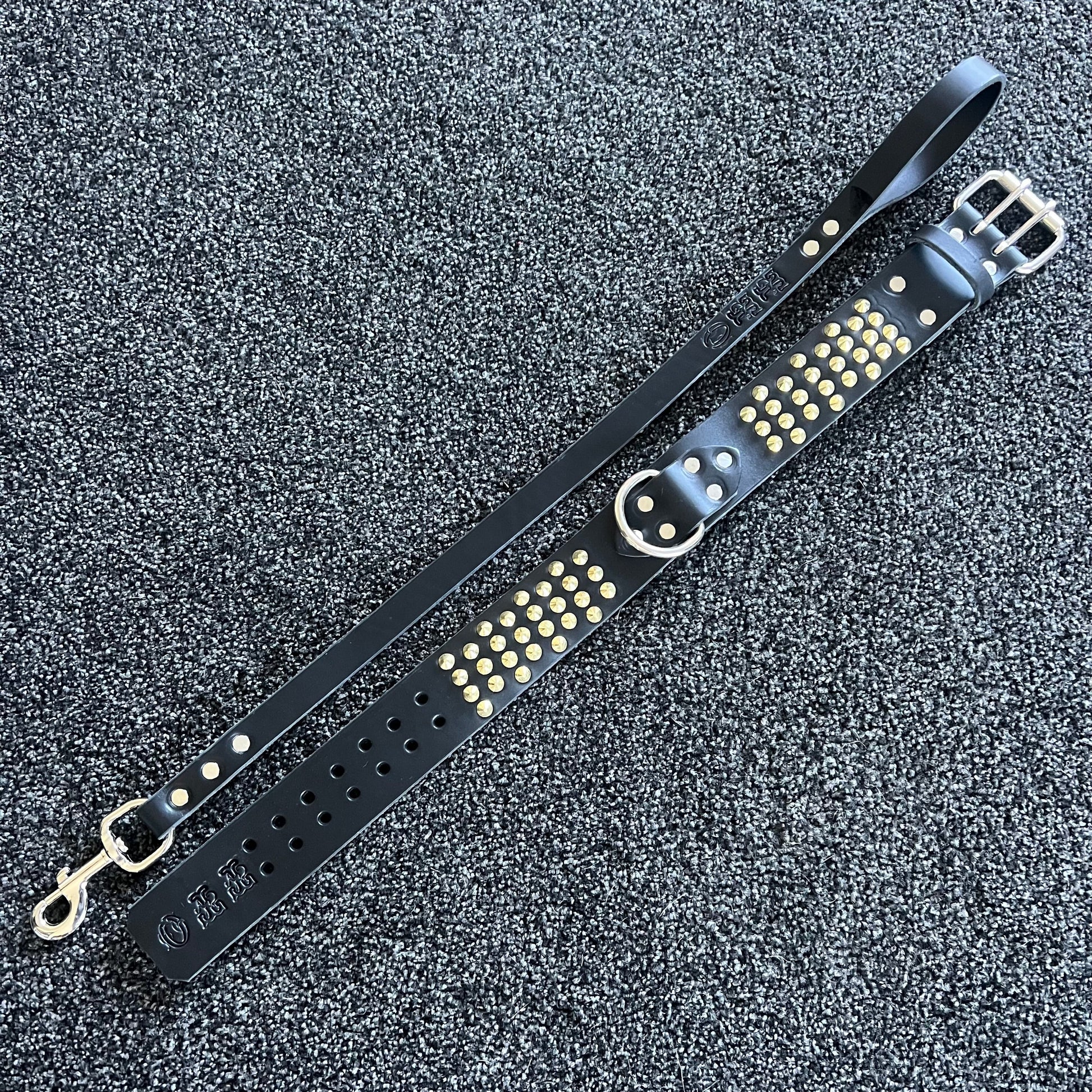 Black leather dog collar with gold studs on a textured black background